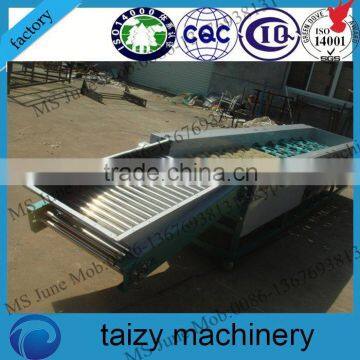stainless steel machine cashew nut and kernel grading machine by size