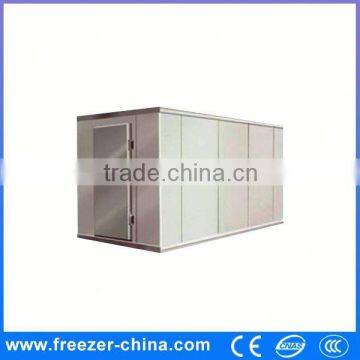 Ice storage freezer for indoor and outdoor with CE approval