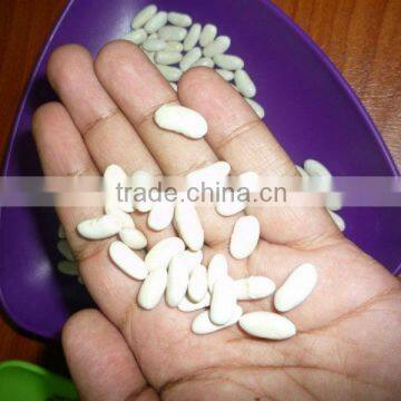 White Kidney Beans