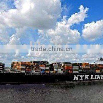 Shipping Container Shenzhen China to Cotonou Container Freight Shipping