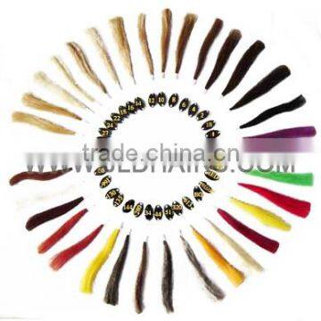 Human Hair Color Plate