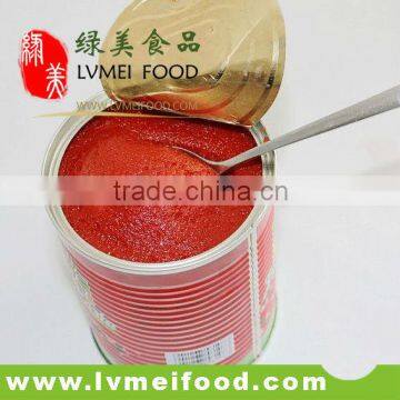 3000g Canned tomato paste