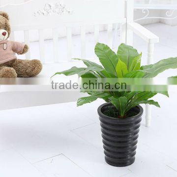 Artificial Birds nest fern