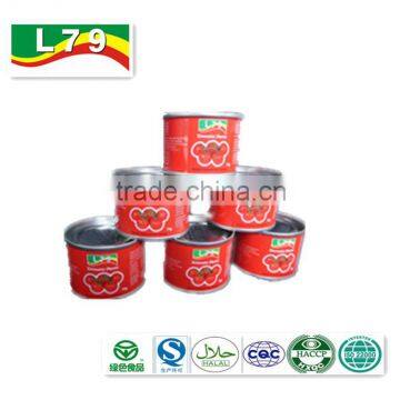 70G China Factory Hot Sell Nature Canned Tomato Paste