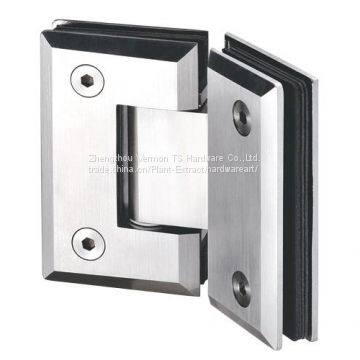 OEM Stainless Steel Glass Door Hinge Made in China