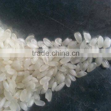 Camolino Rice photo-6
