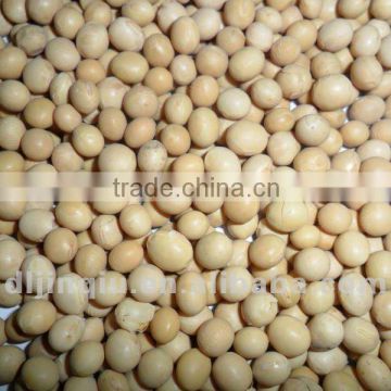 high quality soybean 2012 crop