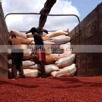 ANNATTO SEEDS photo-2