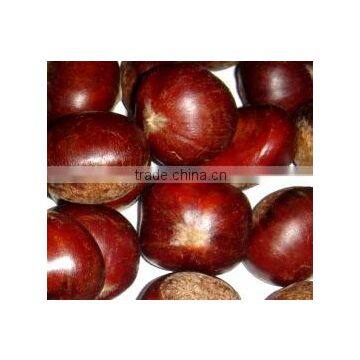 CHINESE FRESH CHESTNUT 40/50,40/60,60/70