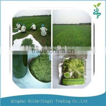 2015 Organic wheat grass chlorophyll