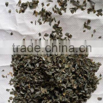 2016 Crushed Dried Laminaria, Small Cut Kelp,laminaria Cut photo-2