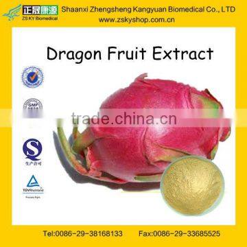 GMP Certified Manufacturer Supply Natural Dragon Fruit Extract Powder