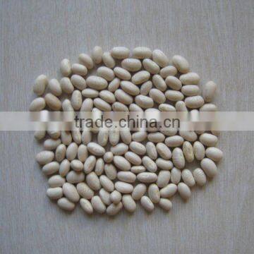 Japanese white kidney bean