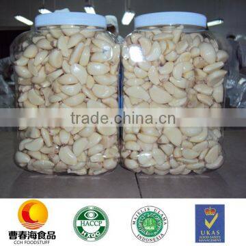 China fresh garlic Vacuum Nitrogen and Jar packed peeled garlic with HACCP and HALAL certificates