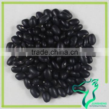 Black Kidney Beans With Large Quantity Stock