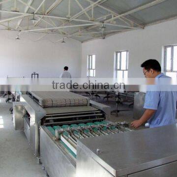 Sundried China Tomato Organic Sun Dried Tomatoes For Sell photo-2