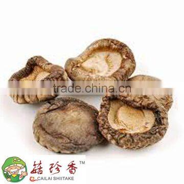 delicious dried smooth shiitake mushroom with plenty of choice