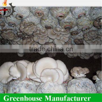 Economical Agricultural Mushroom Used Film Greenhouse photo-3