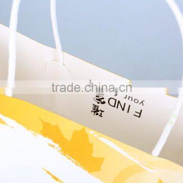 Documents Carry Paper Bag, Twisted Handle Paper Carrier Bag for Documents photo-5