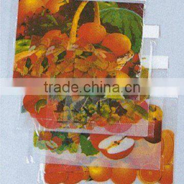 2pc Plastic Place Mats