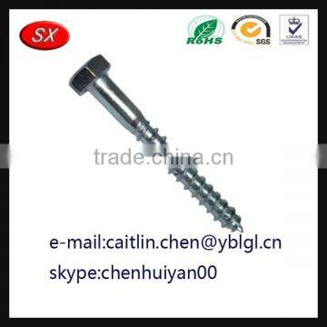 China Hardware Factory Galvanized steel lag screw