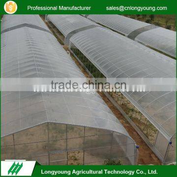 Wholesale custom hot galvanized anti-dew poly tunnel greenhouse