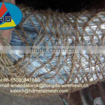 Electric Galvanized Iron Wire/Electric Galvanzied Wire