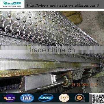 Galvanized and Pvc Coated Bird Animal Cages Hexagonal Wire Mesh/chicken Wire Mesh photo-2