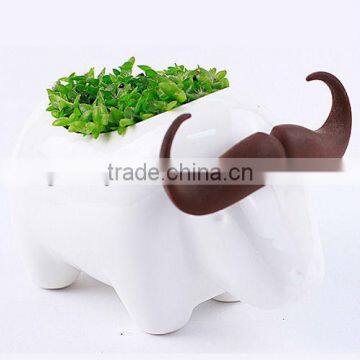 Supply fashion Creative animal plant - buffalo