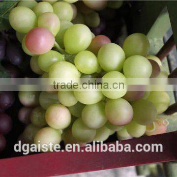 Artificial Plastic Grape Fruit Products Simulated Grape photo-3