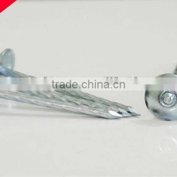 China Unique Galvanized Roofing Nails With Umbrella Head
