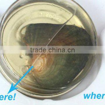 Mother's Day Gift Angel Wing Red Love Pearl Gift (small) photo-5