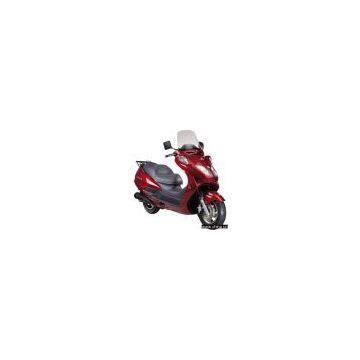 Scooter(150cc)