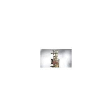 Particle Automatic packaging machine