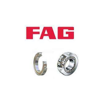 FAG Bearings