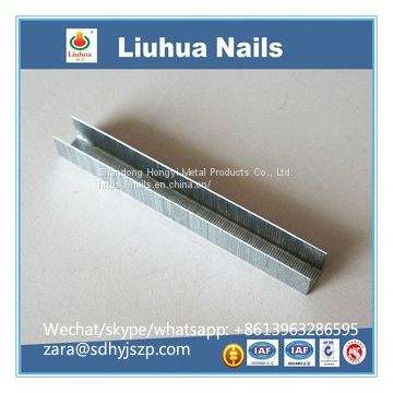 professional manufacturer of LIUHUA brand staples & brad nails