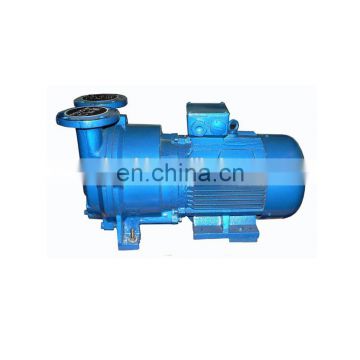 skillful vacuum pump manufacturer in China