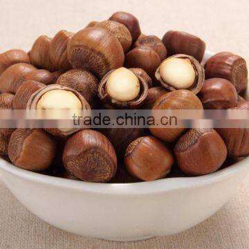 PREMIUM QUALITY HAZELNUTS AT GOOD PRICES