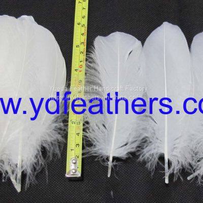 White Goose Nageorie Feather for Wholesale