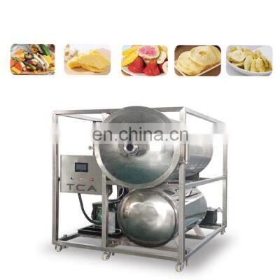 Made in China Hot Sale Medicine Freezer Dryer photo-2