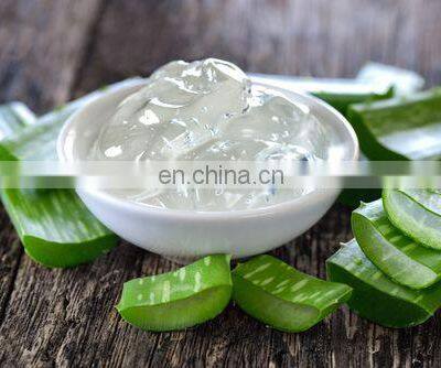 Aloe Vera Jelly Dice/ Best Offer Aloe Vera Dice From Vietnam photo-4