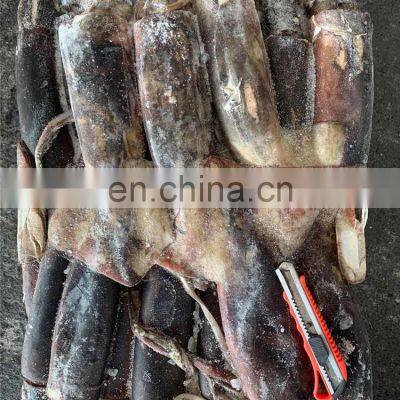 Whole Round Frozen Giant Squid Peru Giant Squid Dosidicus Gigas photo-5