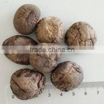 Smooth Dried Shiitake Mushroom 1KG With Stem photo-2