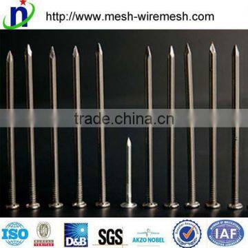 ISO9001 factory supply high quality 3" flathead nails