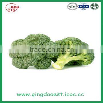 Bulk Packing Fresh Broccoli photo-5
