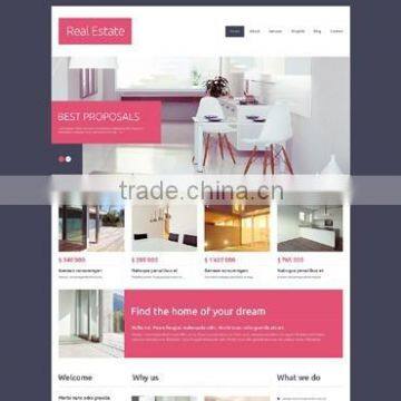 web application development