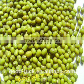 High quality and cheap mung beans price