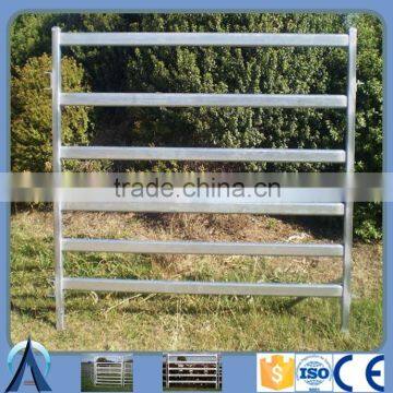 Heavy duty galvanized 30x60mm 6 rail oval tube cattle yard panels