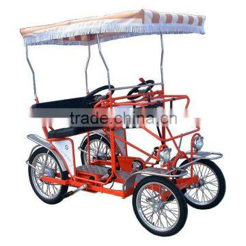 TWO PEOPLE LEISURE BIKE