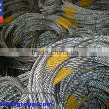 6*24 Wire Rope Sling Exporting to Japan photo-4